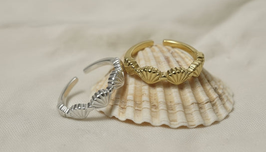 טבעת צדפים