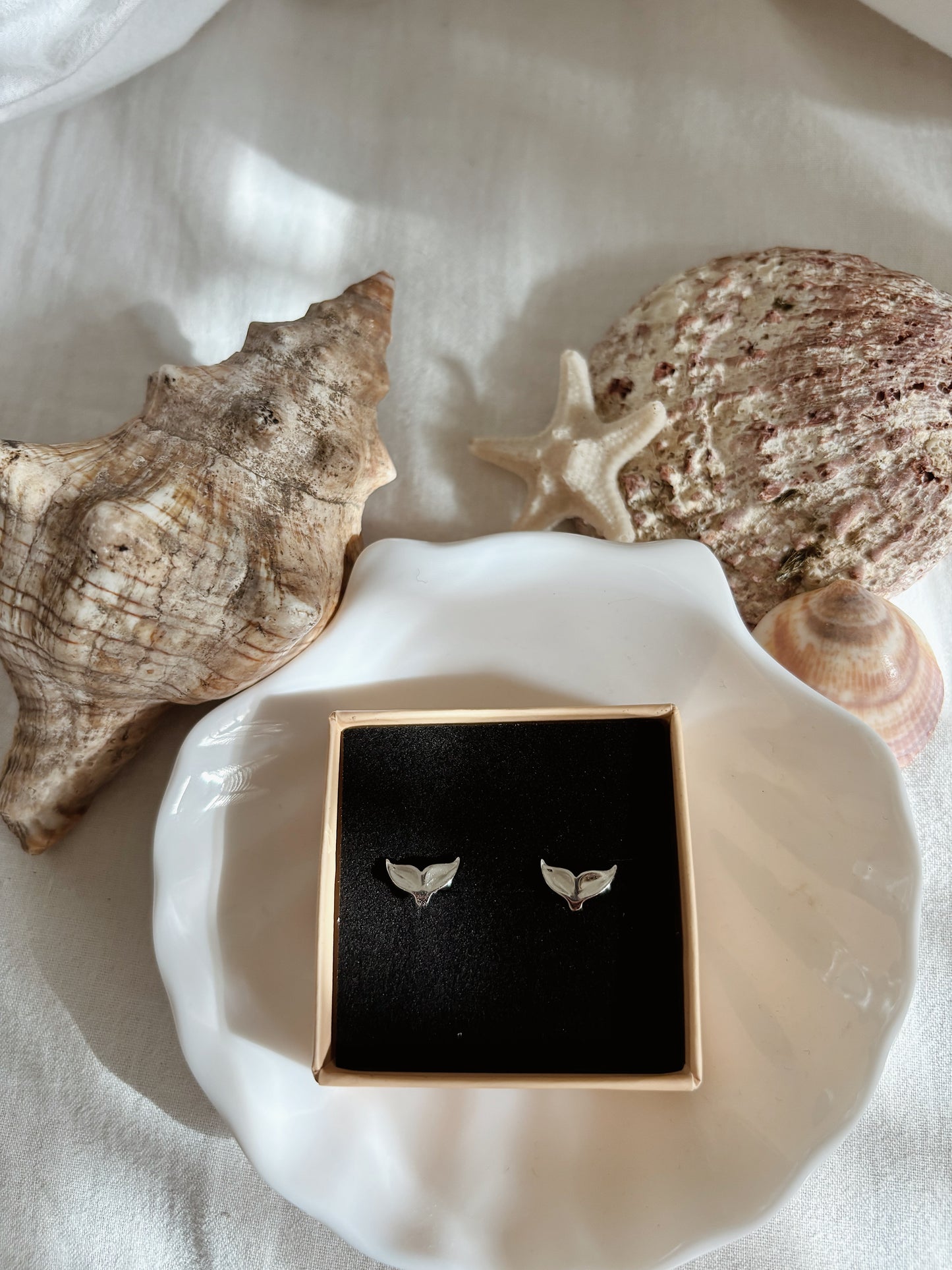 עגילי זנב לוויתן צמודים