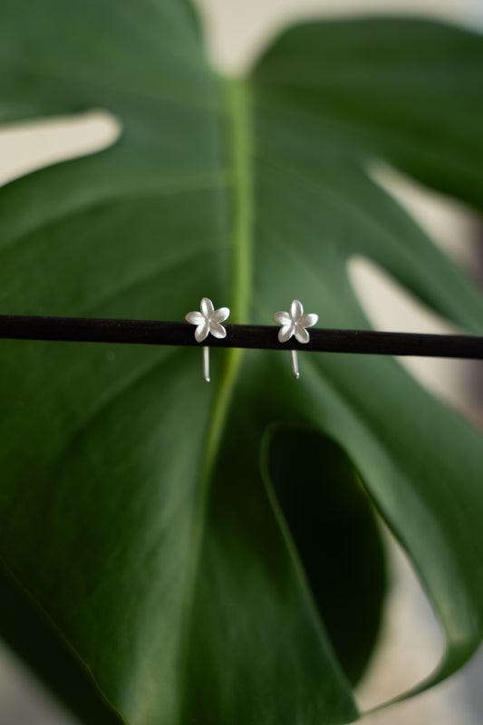 זוג עגילי פלומריה hook