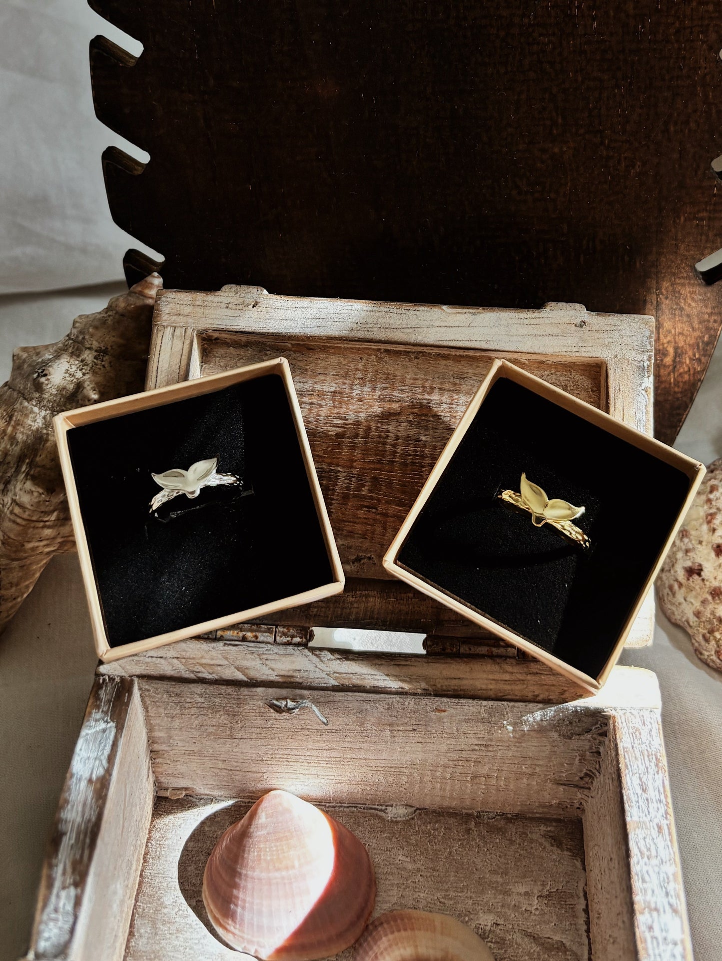 טבעת זנב לוויתן