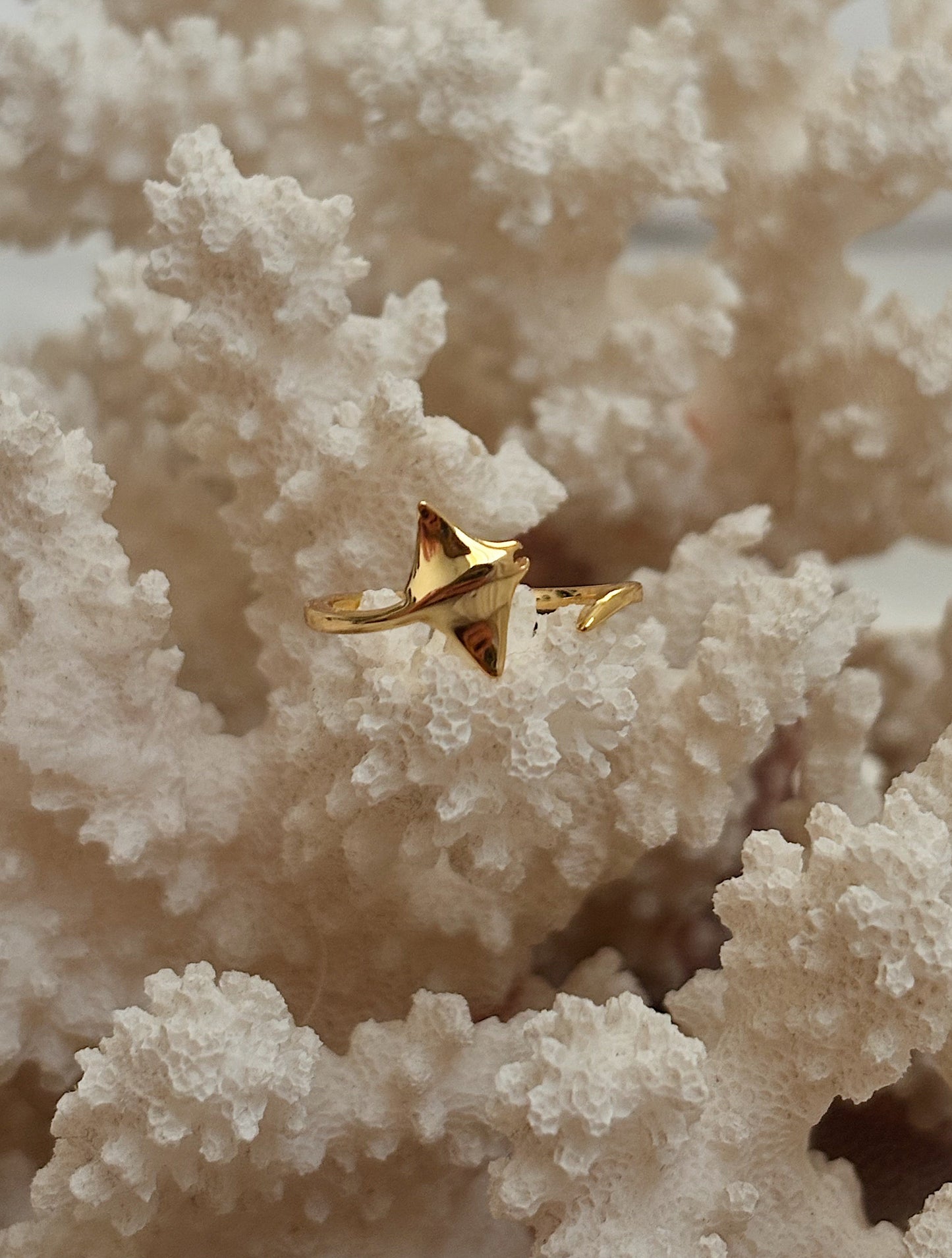 טבעת מנטה ריי