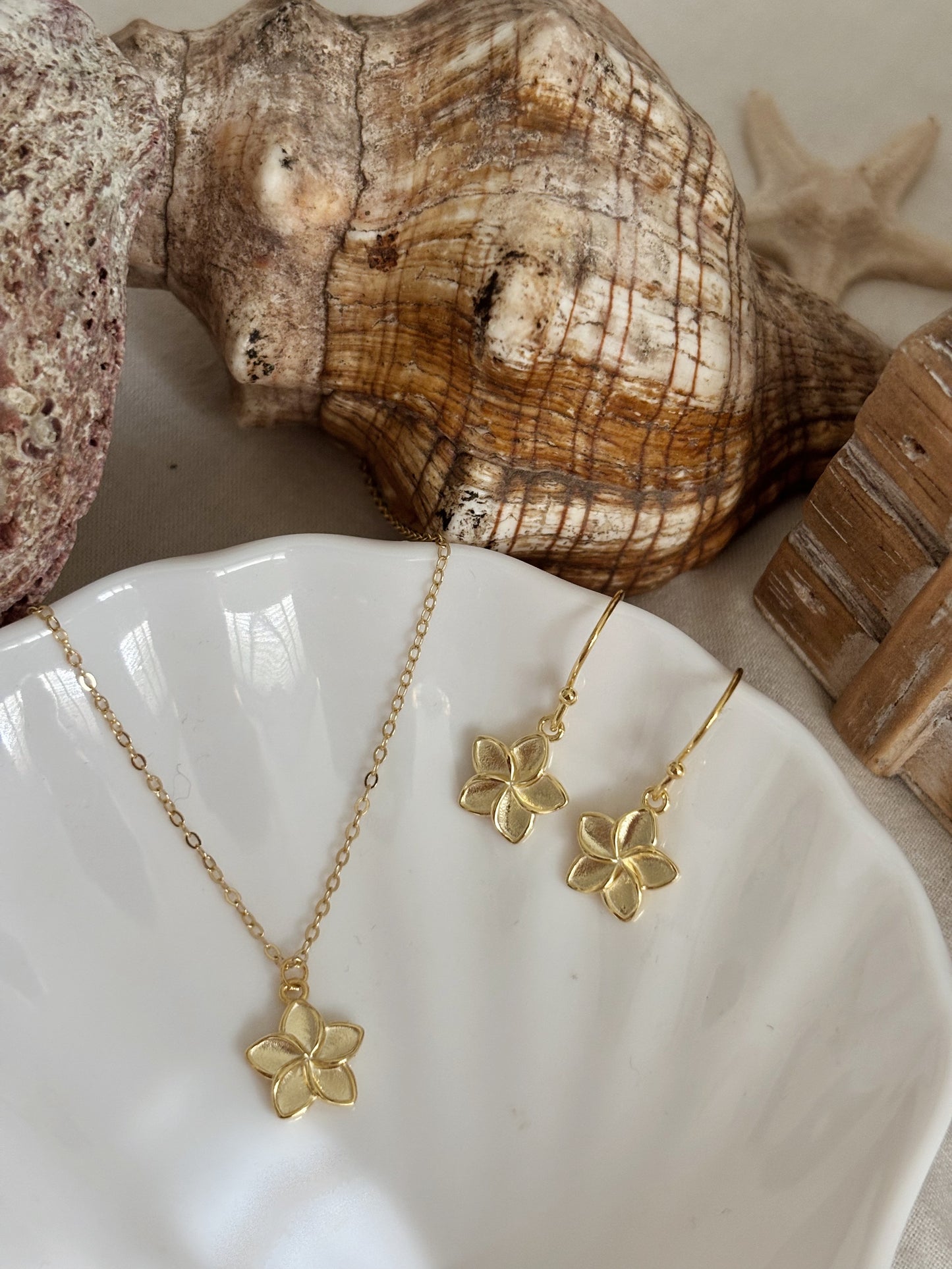 שרשרת פלומריה