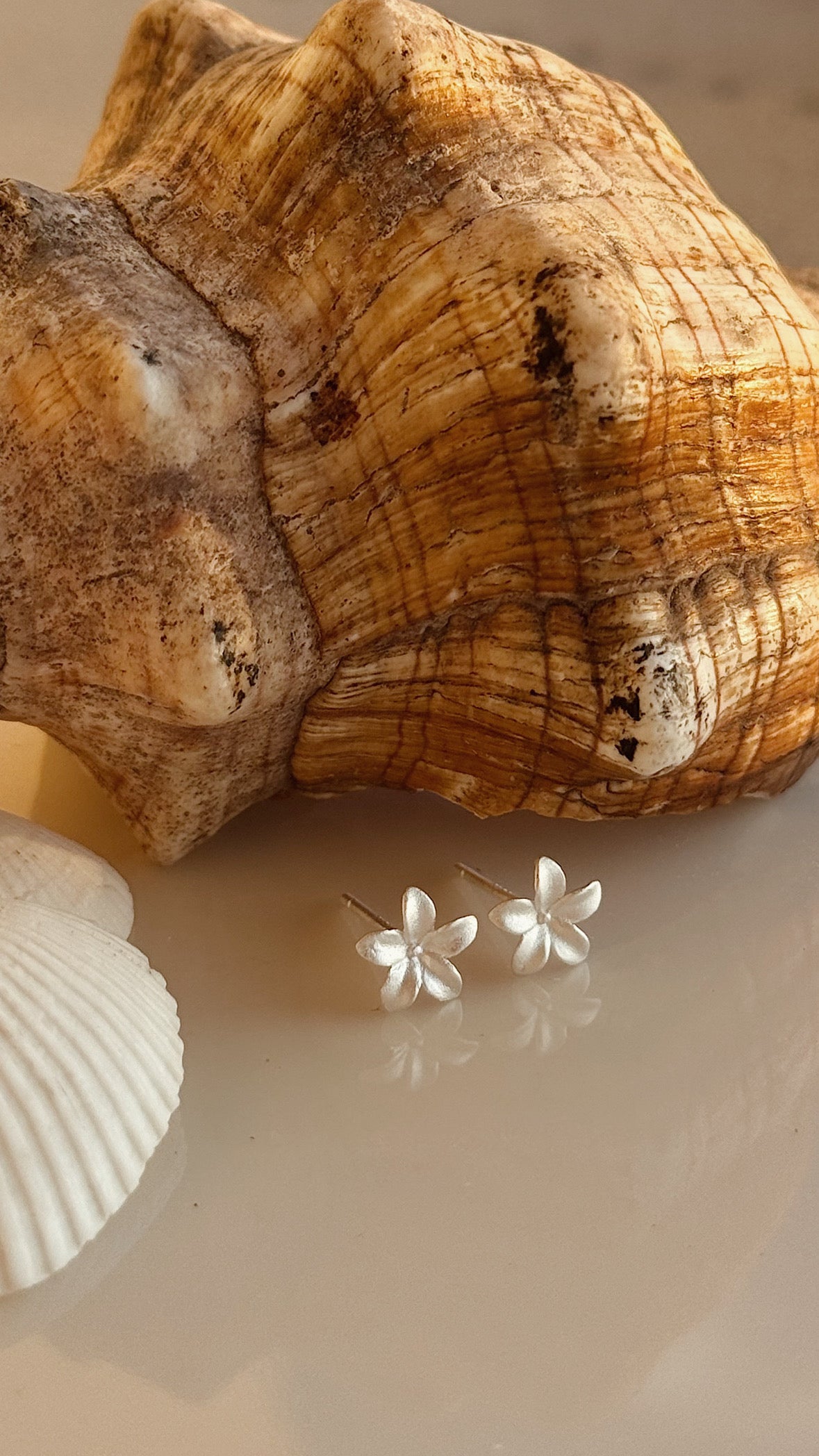 זוג עגילי פלומריה צמודים