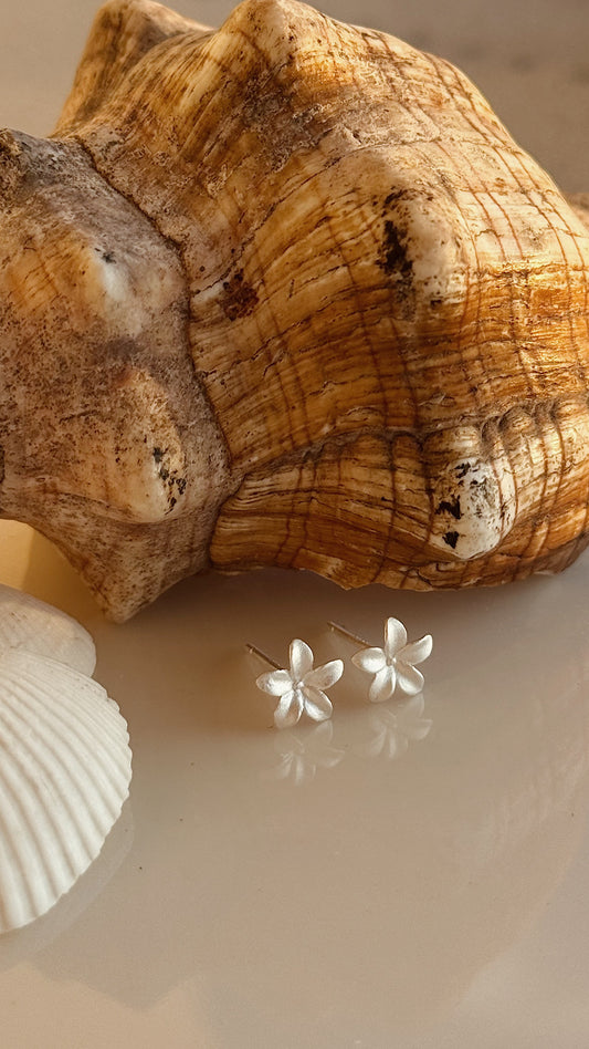 זוג עגילי פלומריה צמודים