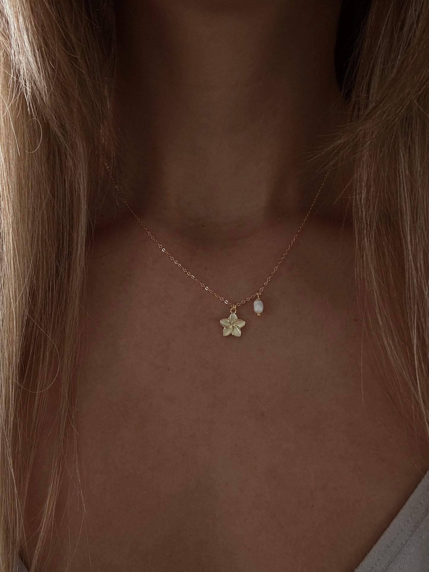 שרשרת פלומריה