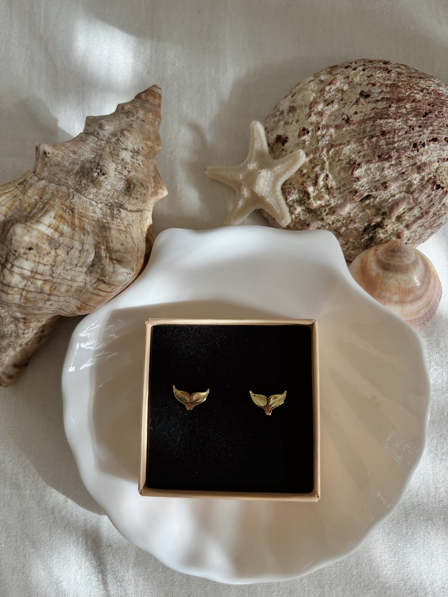 עגילי זנב לוויתן צמודים