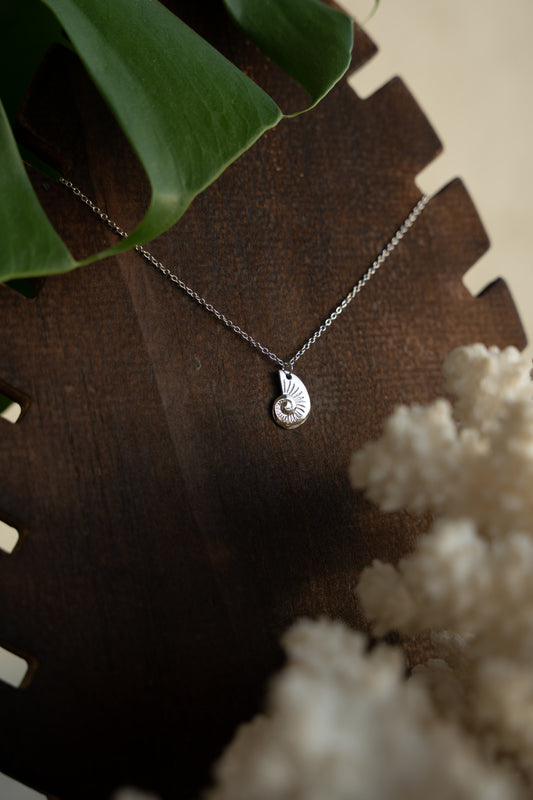 שרשרת קונכיה עגולה