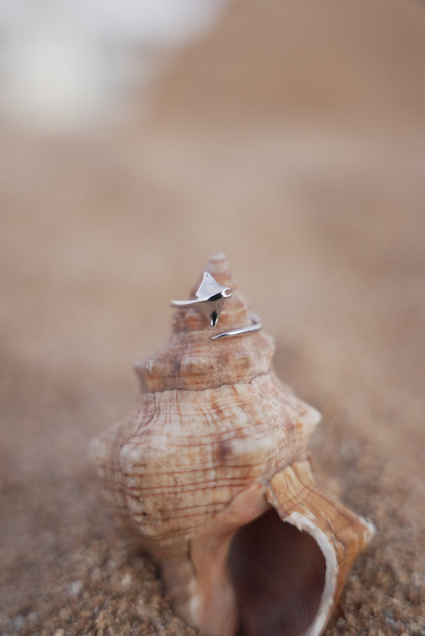 טבעת מנטה ריי