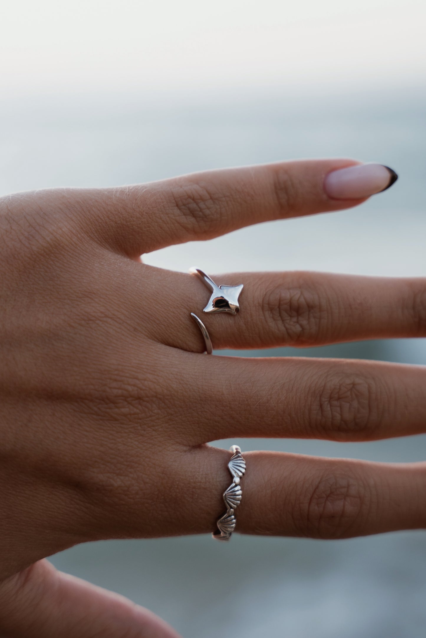 טבעת מנטה ריי