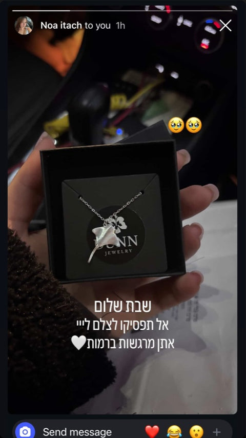 המלצה מאינסטגרם