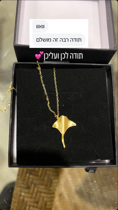 המלצה מאינסטגרם