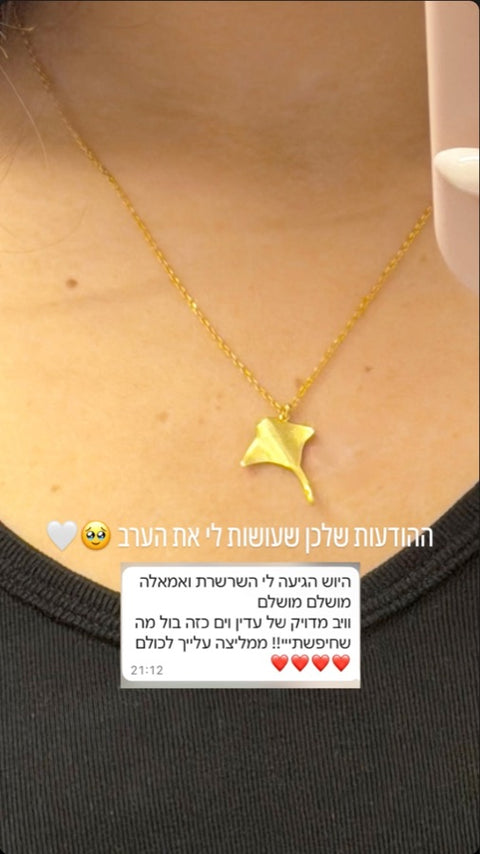 המלצה מאינסטגרם