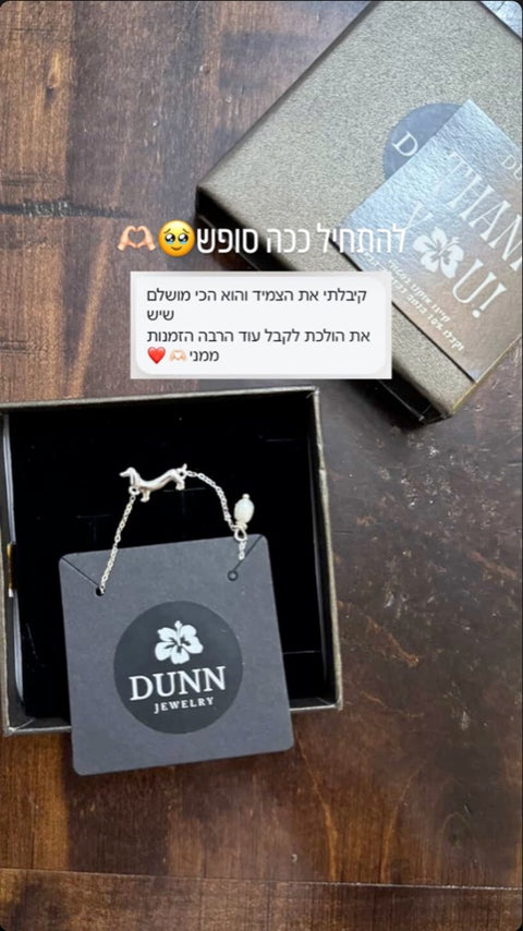 המלצה מאינסטגרם