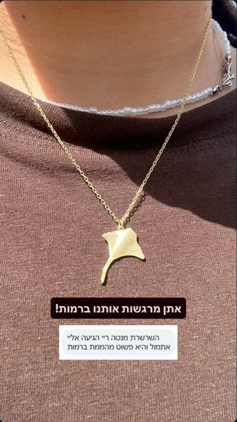 המלצה מאינסטגרם